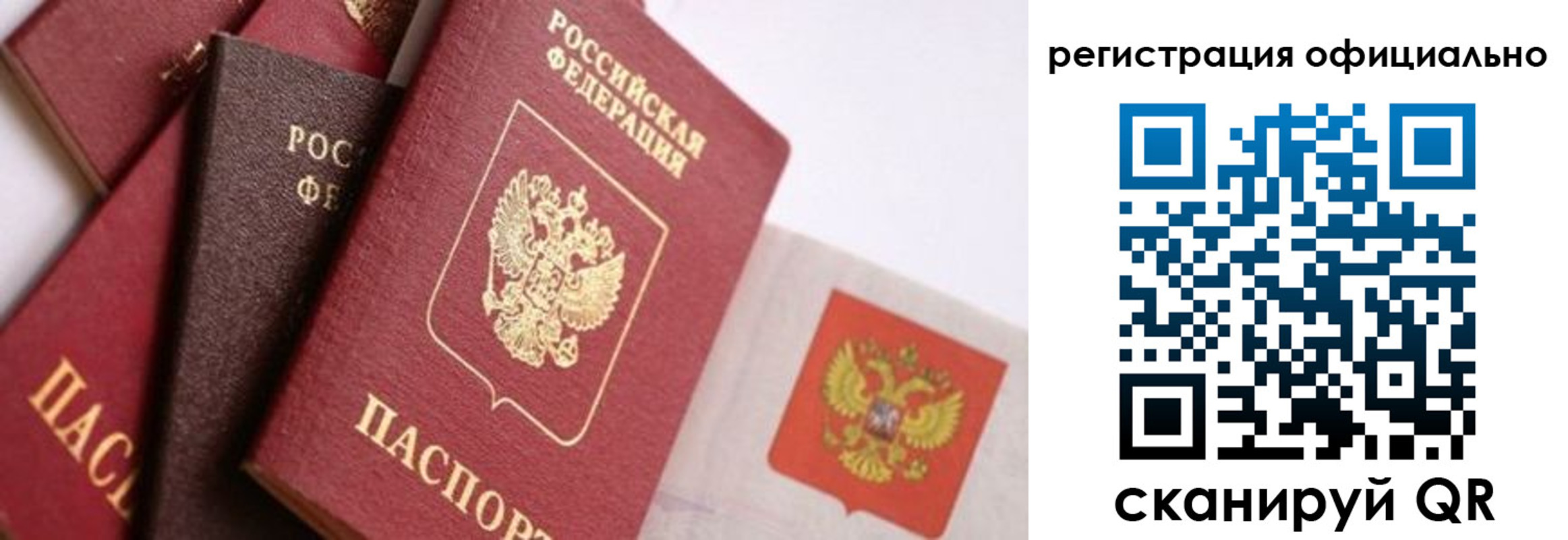 прописка гарантия в Домодедово